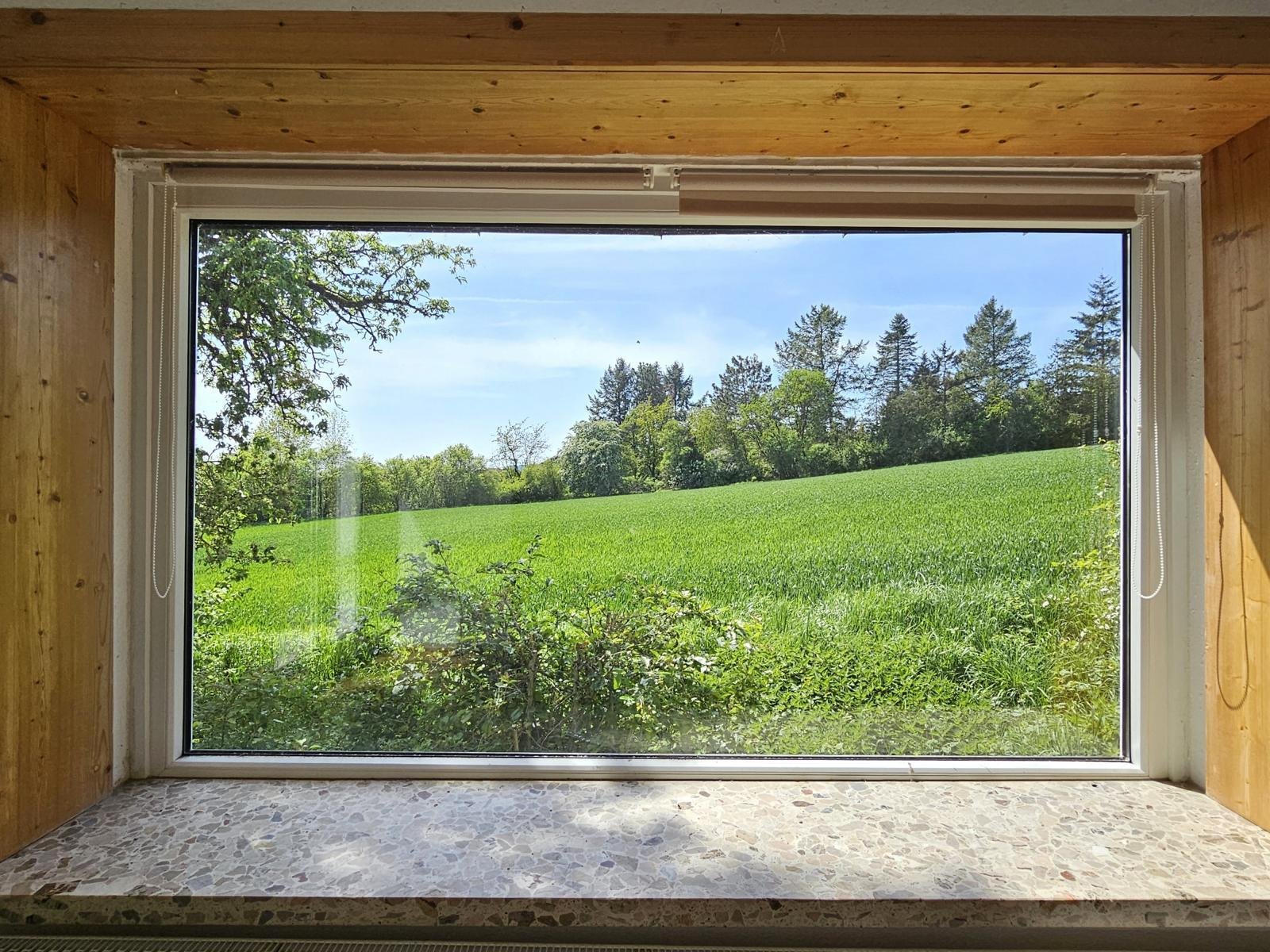 Panoramafenster im Wohnbereich