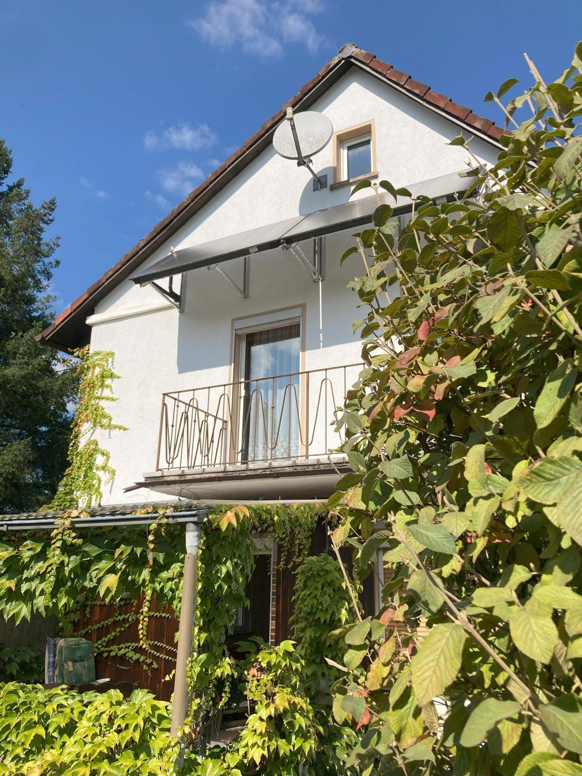 Südansicht Terrasse und Balkon